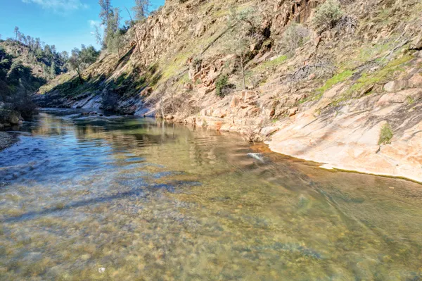 a view of a yard with a large tree