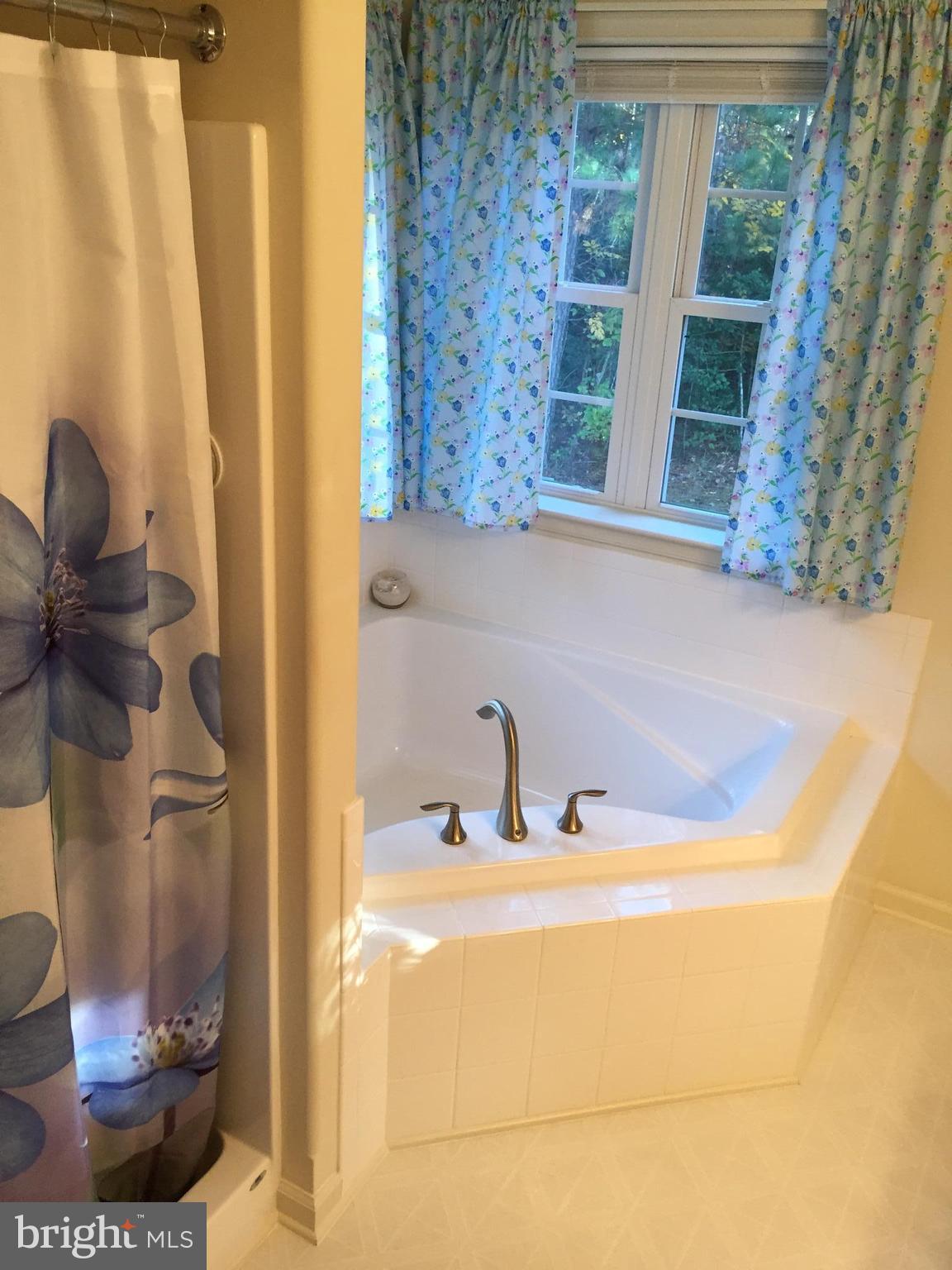 5911 Towles Mill Road Partlow, VA 22534 - Photo 15 of 26 Master Bathroom with soaking tub