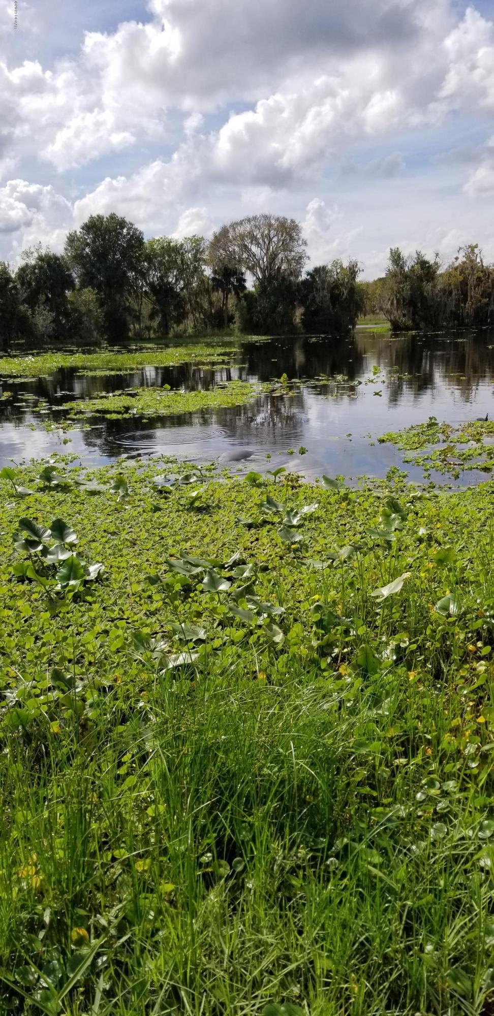 2943 North Shell Road DeLand, FL 32720 - Photo 28 of 28 Manatee