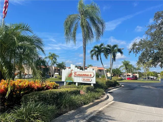 a view of a park with palm trees