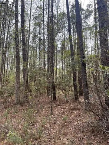 $100,000 | 0 Palm Street, Reevesville, SC 29471