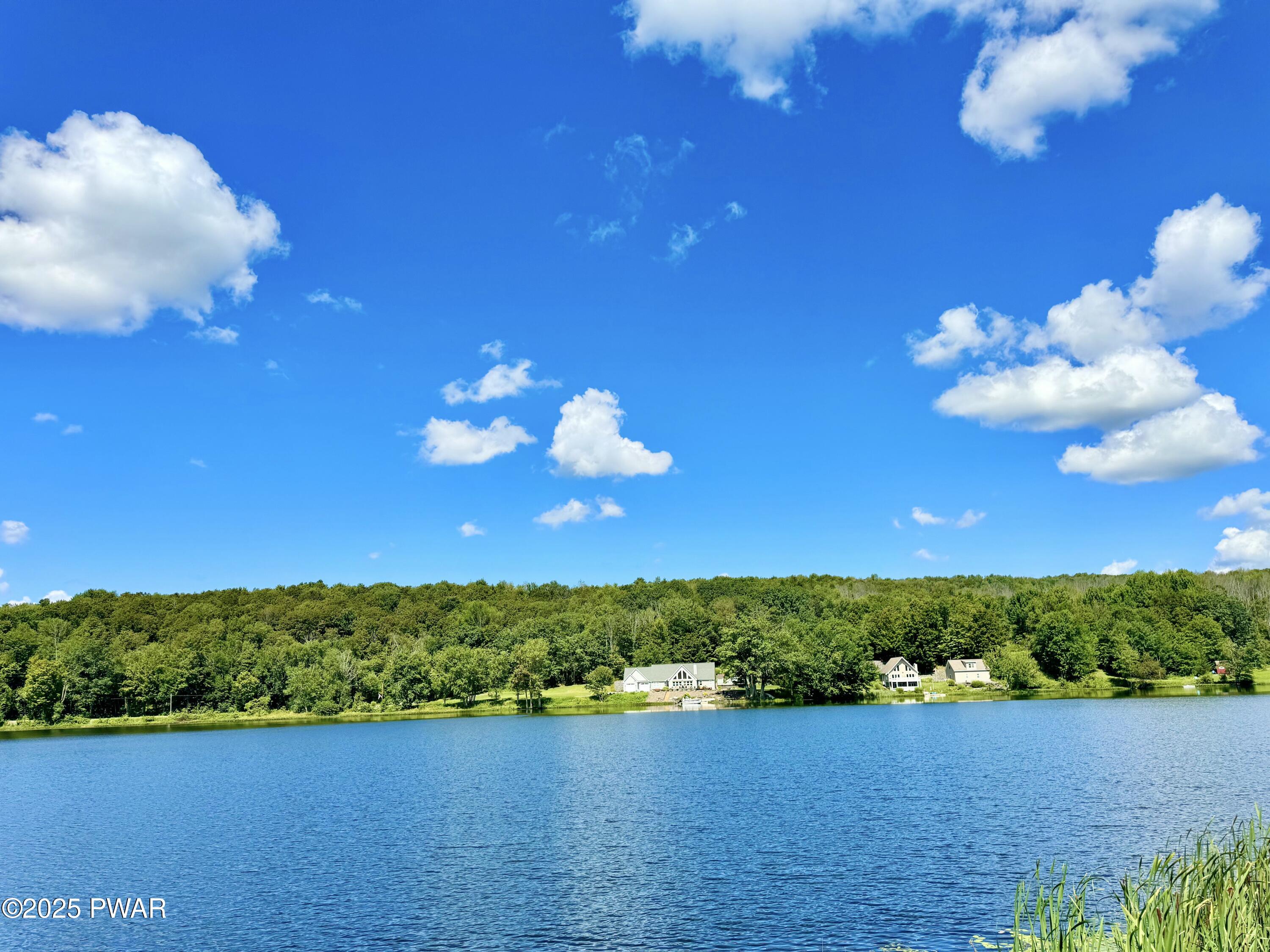 76 South Shore Road Pleasant Mount, PA 18453 - Photo 9 of 30 Gorgeous Bigelow lake