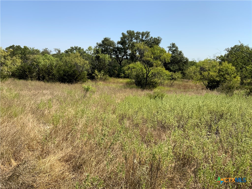 1133 Cr 175 Comanche Tx 76474 Sidney, TX 76474 - Photo 1 of 40 a view of a garden