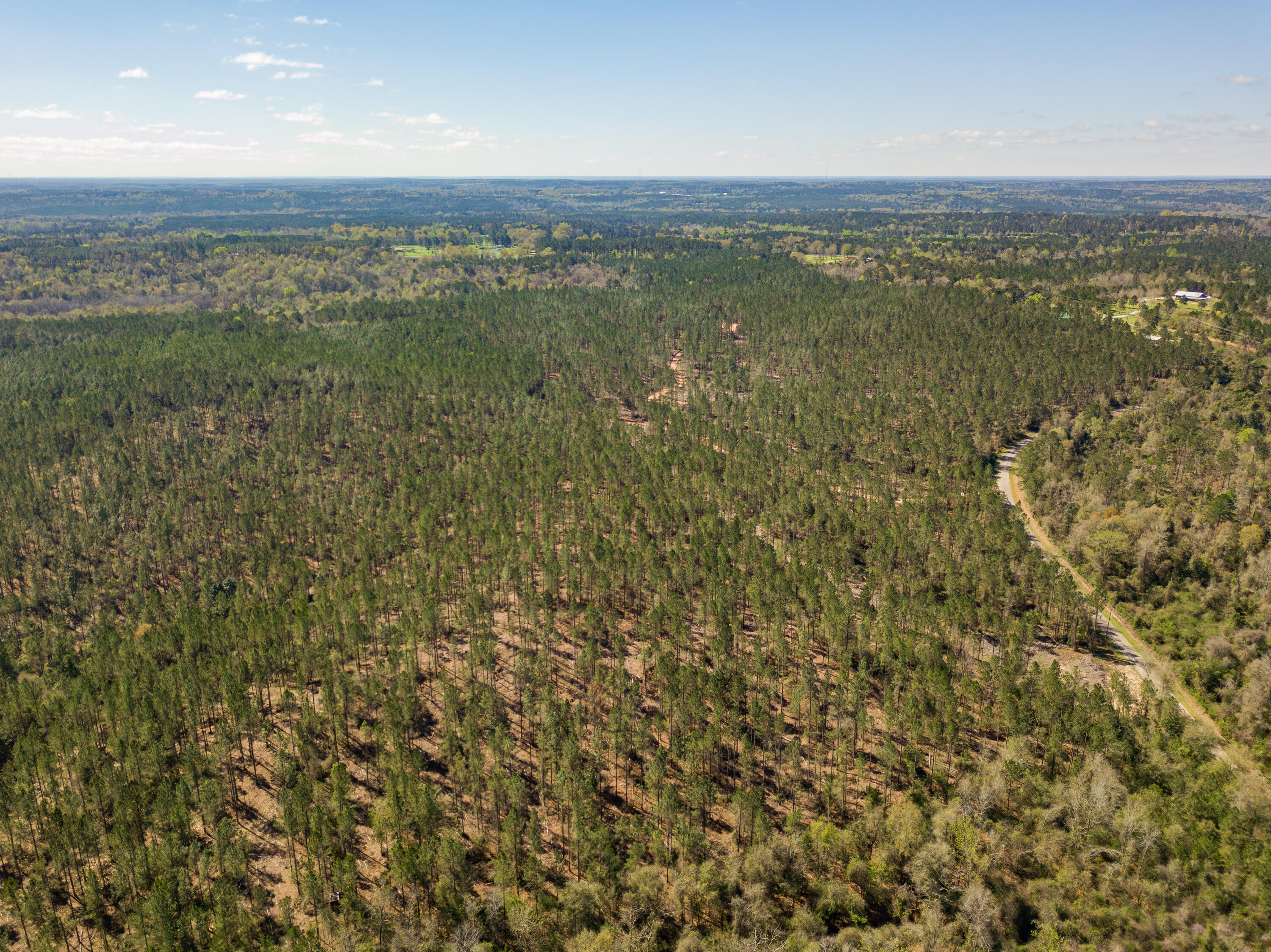 Lot 6 Timothy Road Ellisville, MS 39437 - Photo 3 of 26 Gallery Image 3