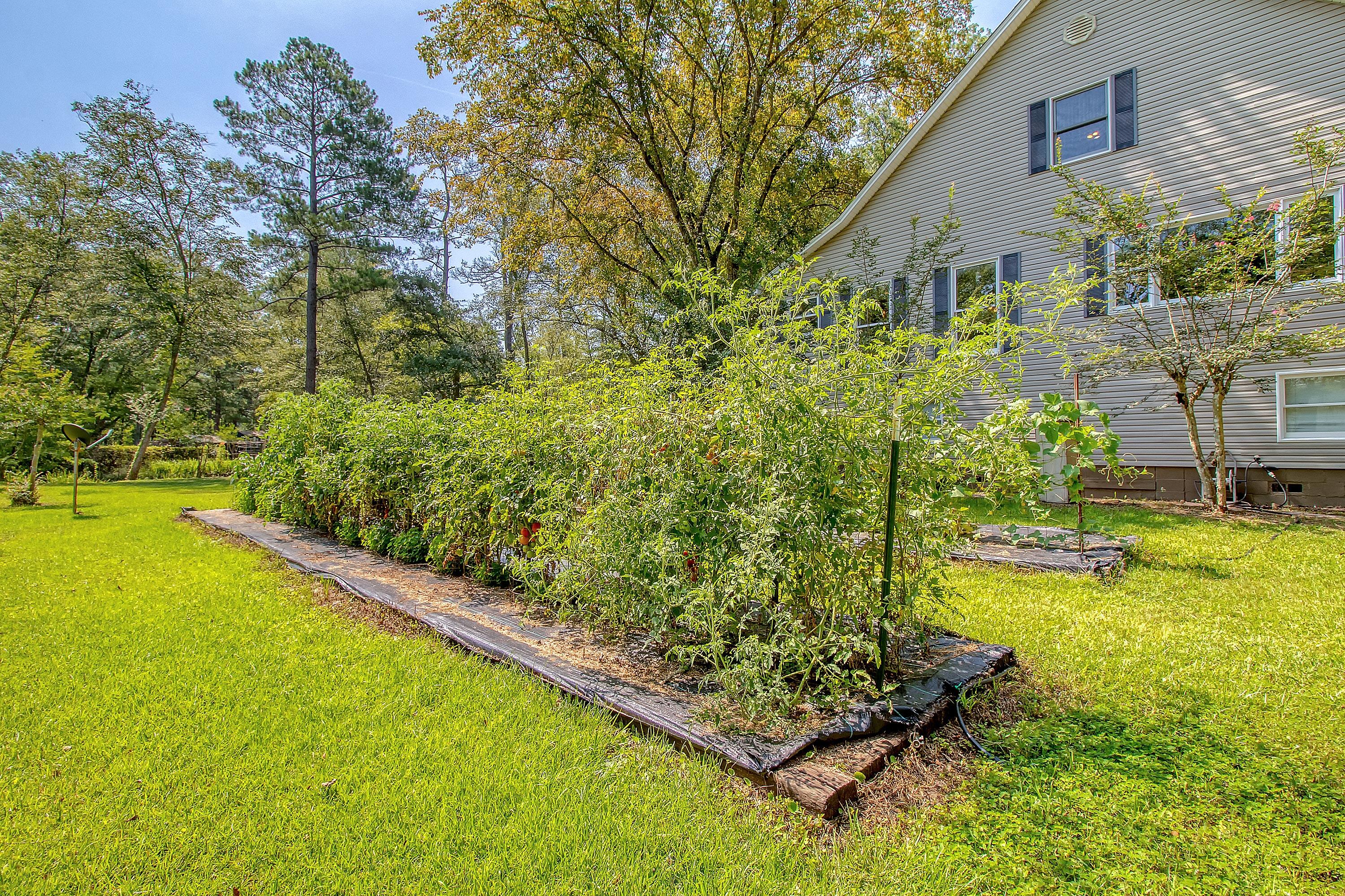 150 Riverbend Lane Ridgeville, SC 29472 - Photo 63 of 77 garden1