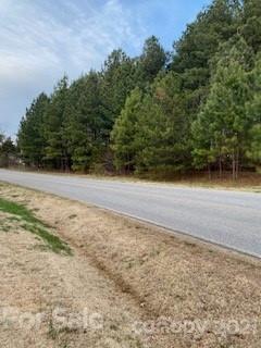 4724 Webbs Chapel Church Road Denver, NC 28037 - Photo 4 of 22 Gallery Image 4