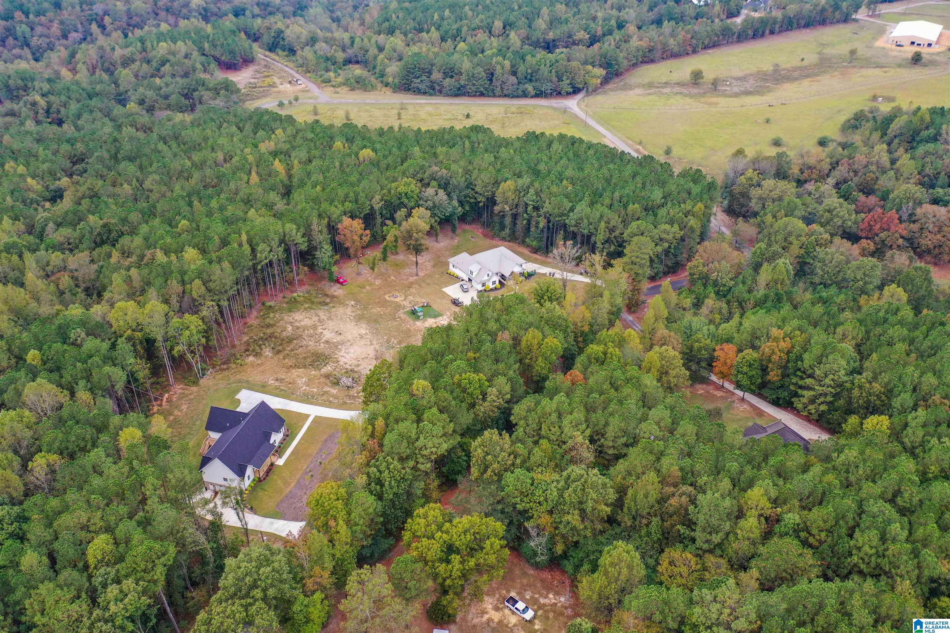 9176 Pritchett Road Gardendale, AL 35071 - Photo 76 of 82