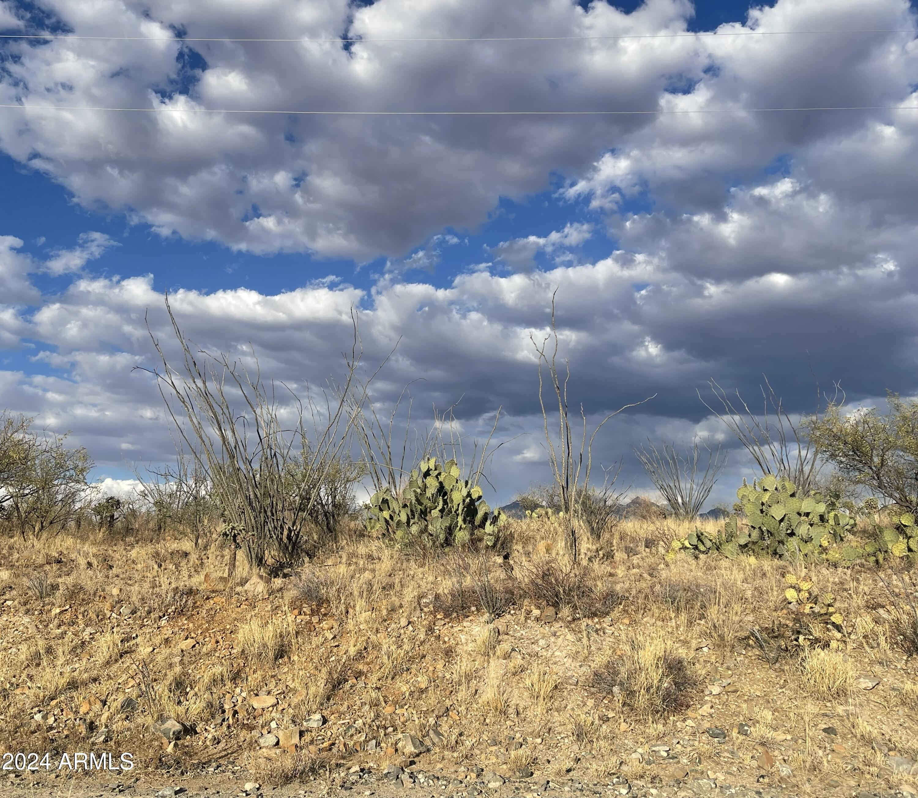1735 Via Caguama, Unit 19 Rio Rico, AZ 85648 - Photo 5 of 7 Addtl photo