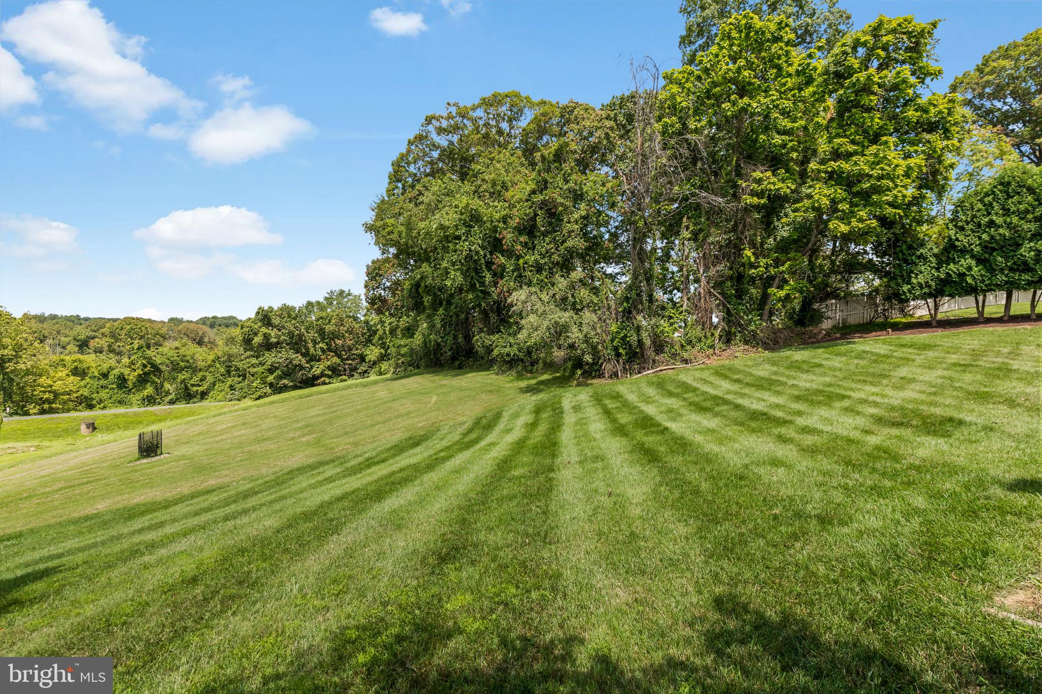 9733 Middleton Ridge Road Vienna, VA 22182 - Photo 50 of 54