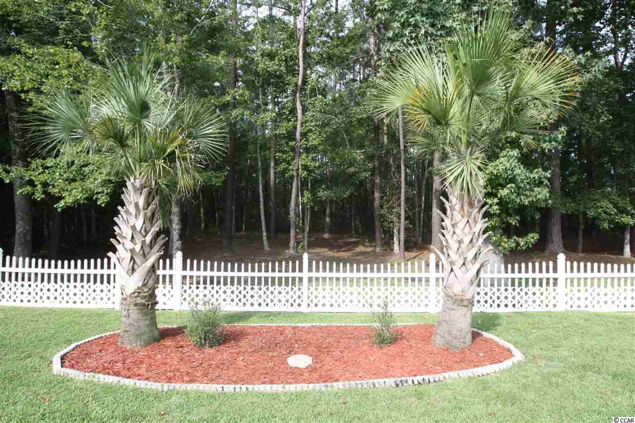 312 Chastain Court Murrells Inlet, SC 29576 - Photo 22 of 25