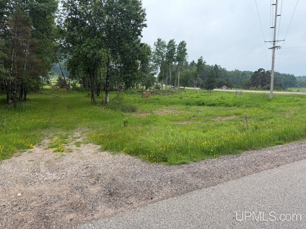 Tbd Bellagomba Road Iron Mountain, MI 49801 - Photo 2 of 6
