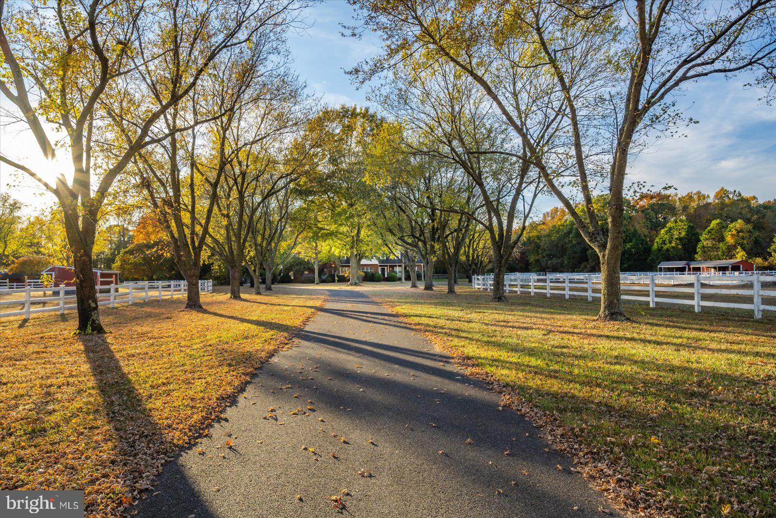 8942 Williams Mill Pond Road Delmar, MD 21875 - Photo 1 of 106 Gallery Image 1