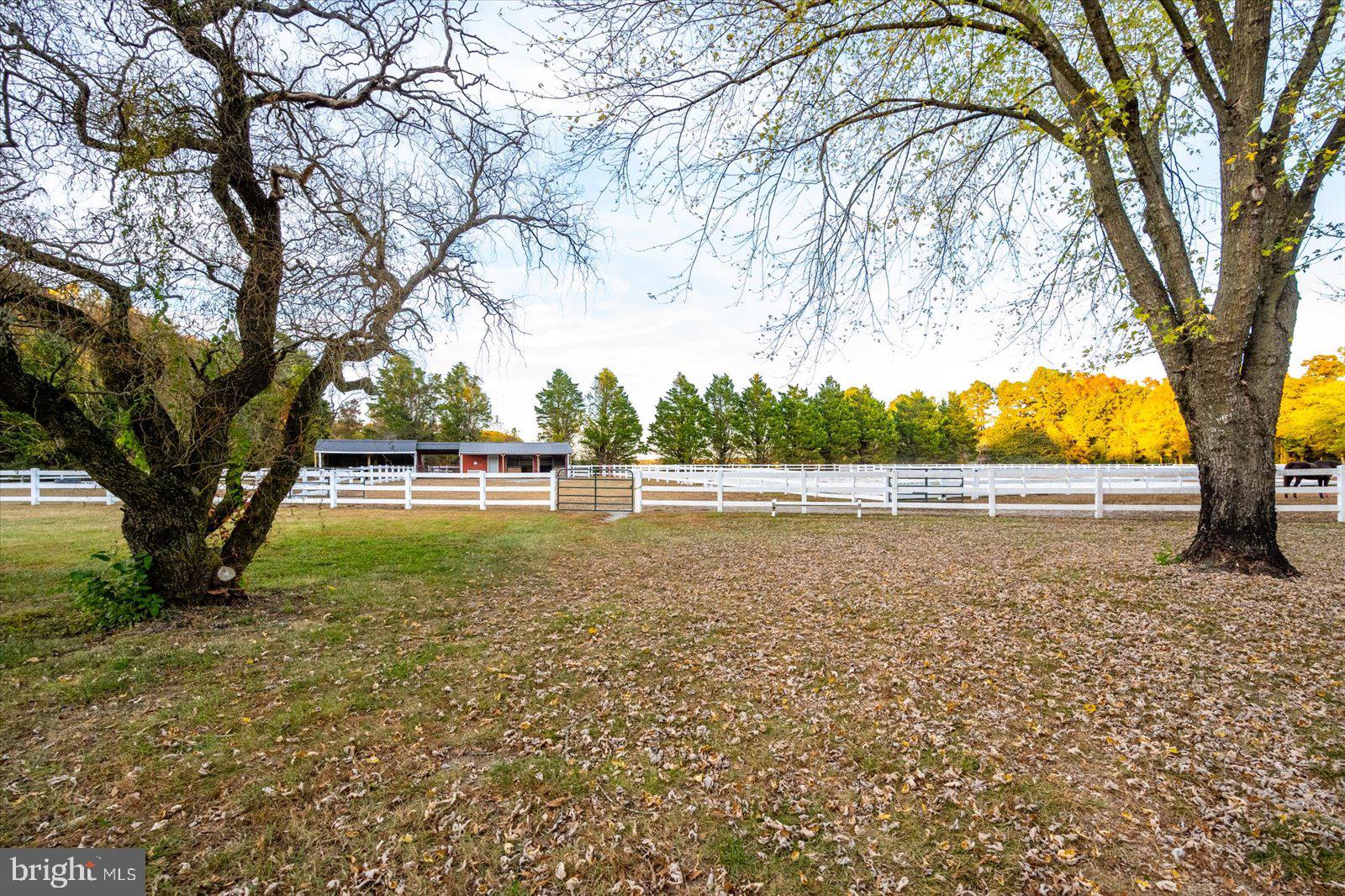 8942 Williams Mill Pond Road Delmar, MD 21875 - Photo 57 of 106 Vinyl Fencing