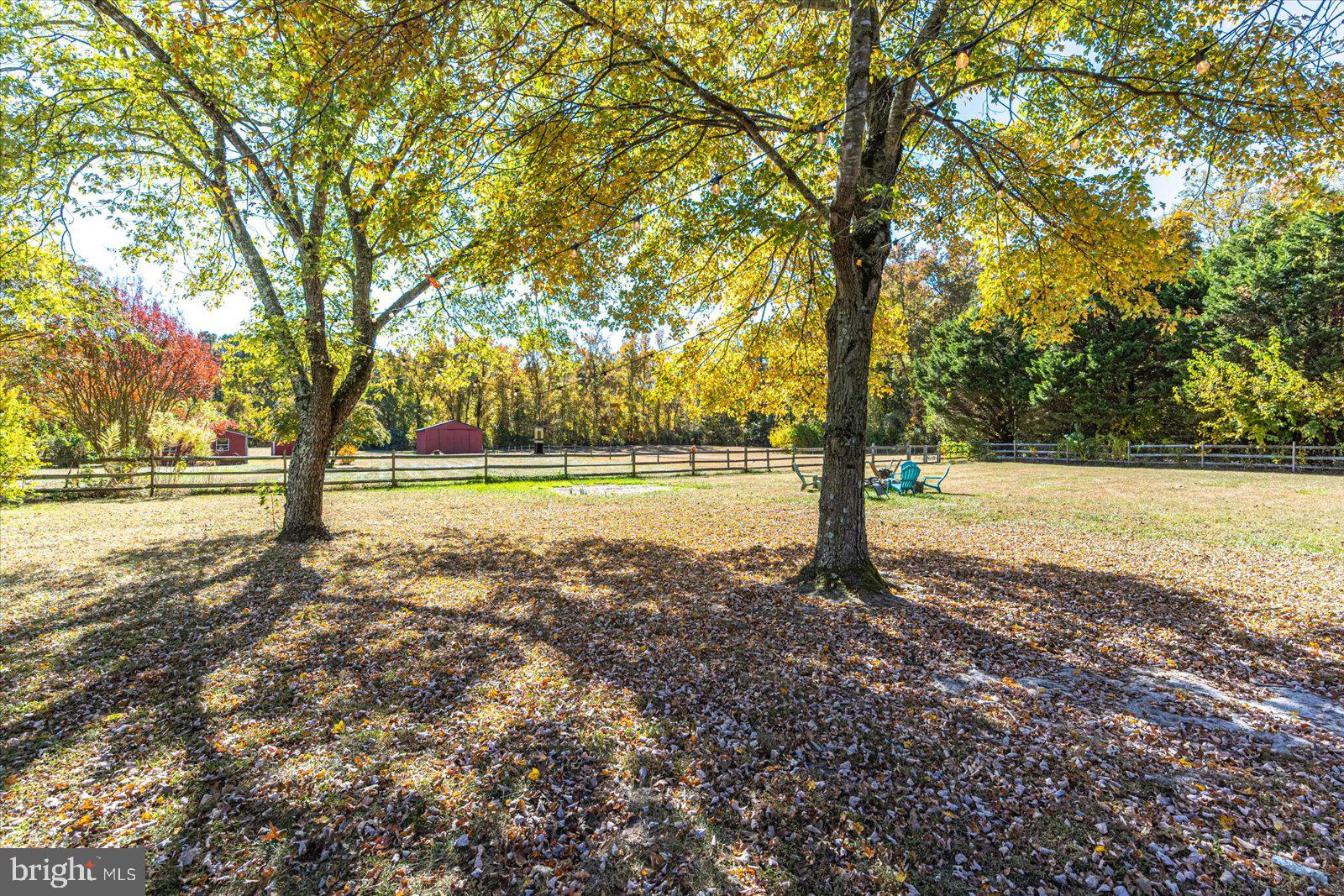 8942 Williams Mill Pond Road Delmar, MD 21875 - Photo 82 of 106 Gallery Image 82