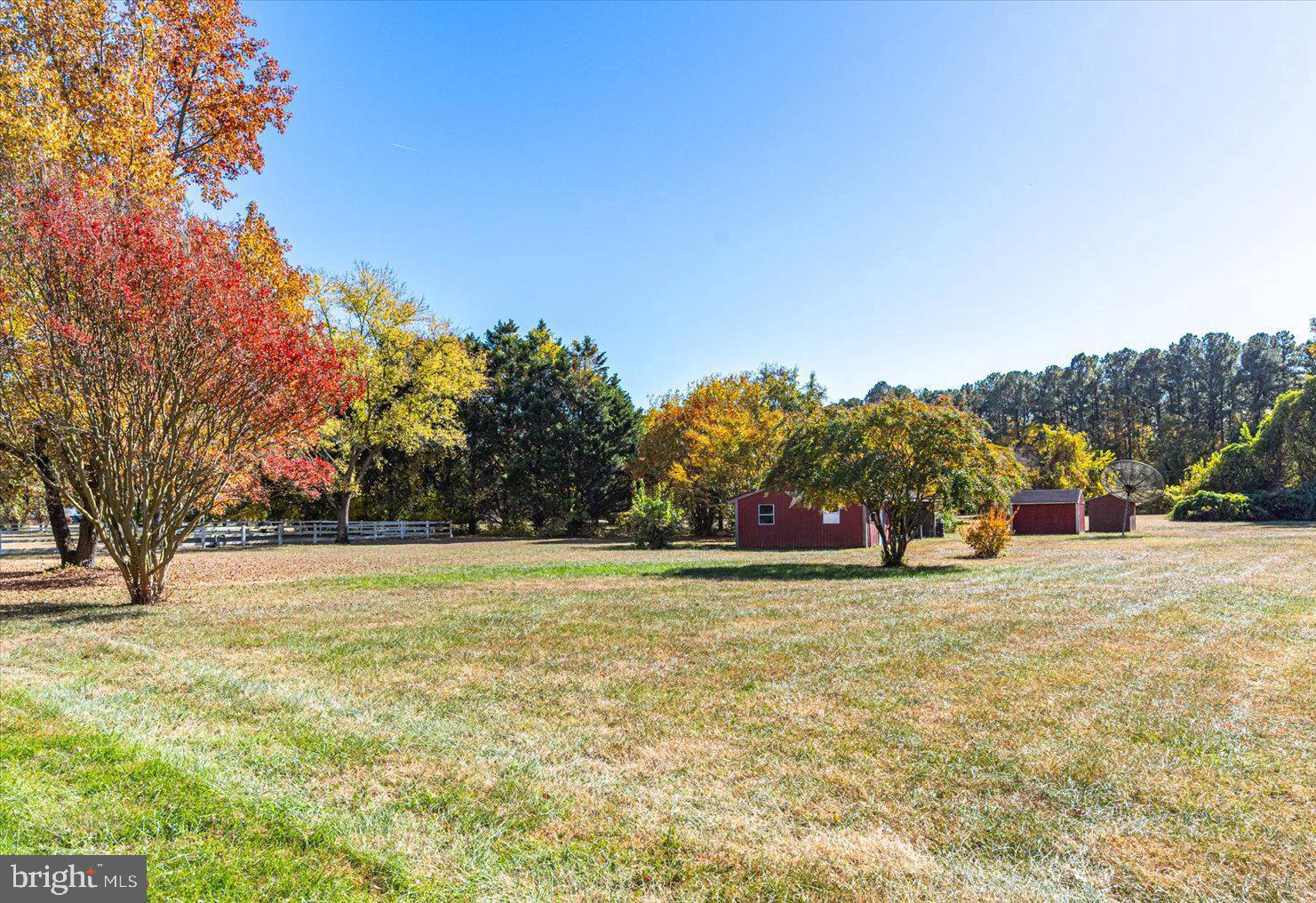 8942 Williams Mill Pond Road Delmar, MD 21875 - Photo 85 of 106 Gallery Image 85