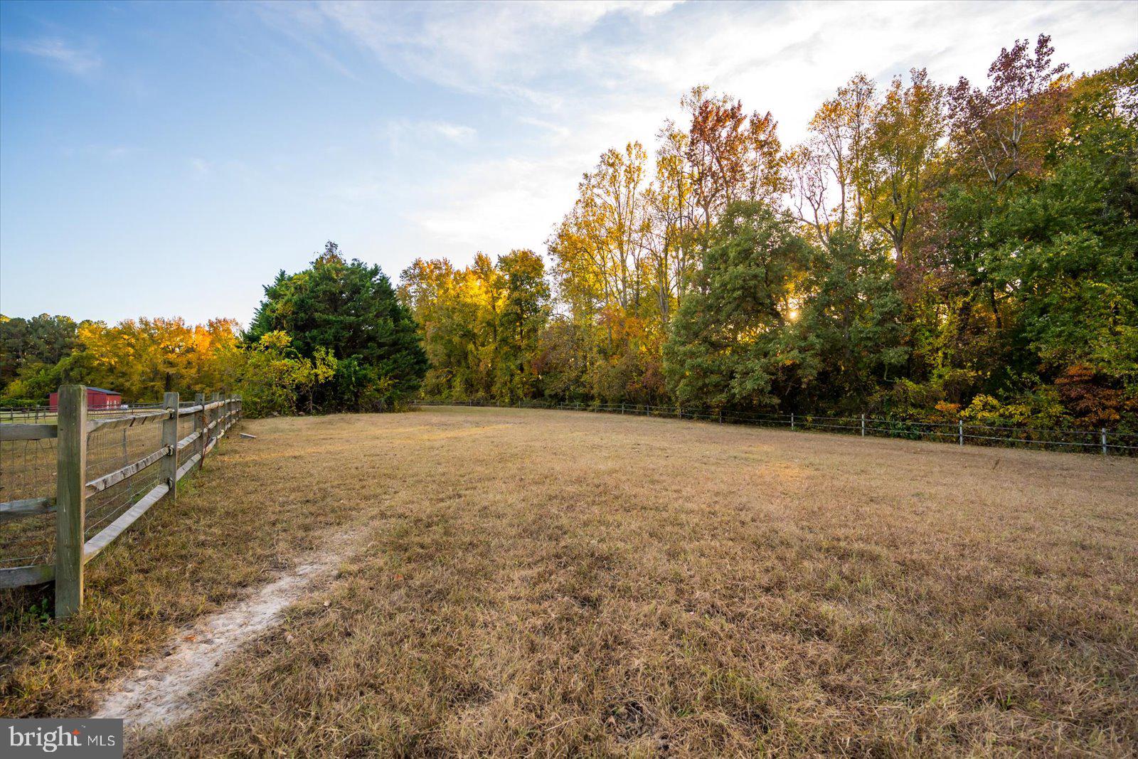 8942 Williams Mill Pond Road Delmar, MD 21875 - Photo 86 of 106 Gallery Image 86