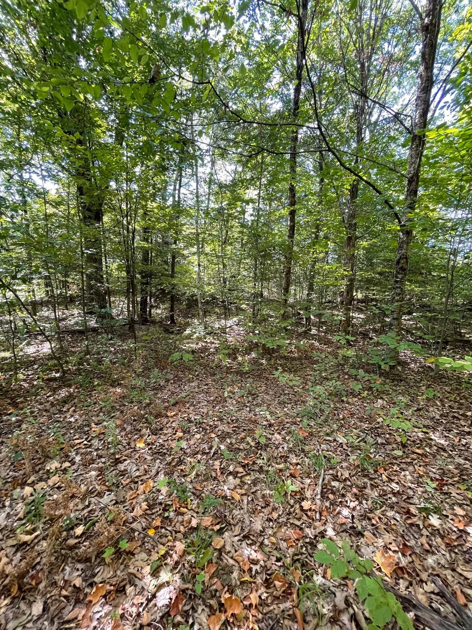 1868 Pond Road Fletcher, VT 05464 - Photo 17 of 19