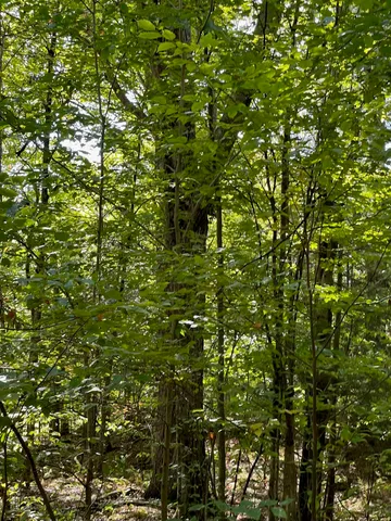 $360,000 | 1868 Pond Road, Fletcher, VT 05464