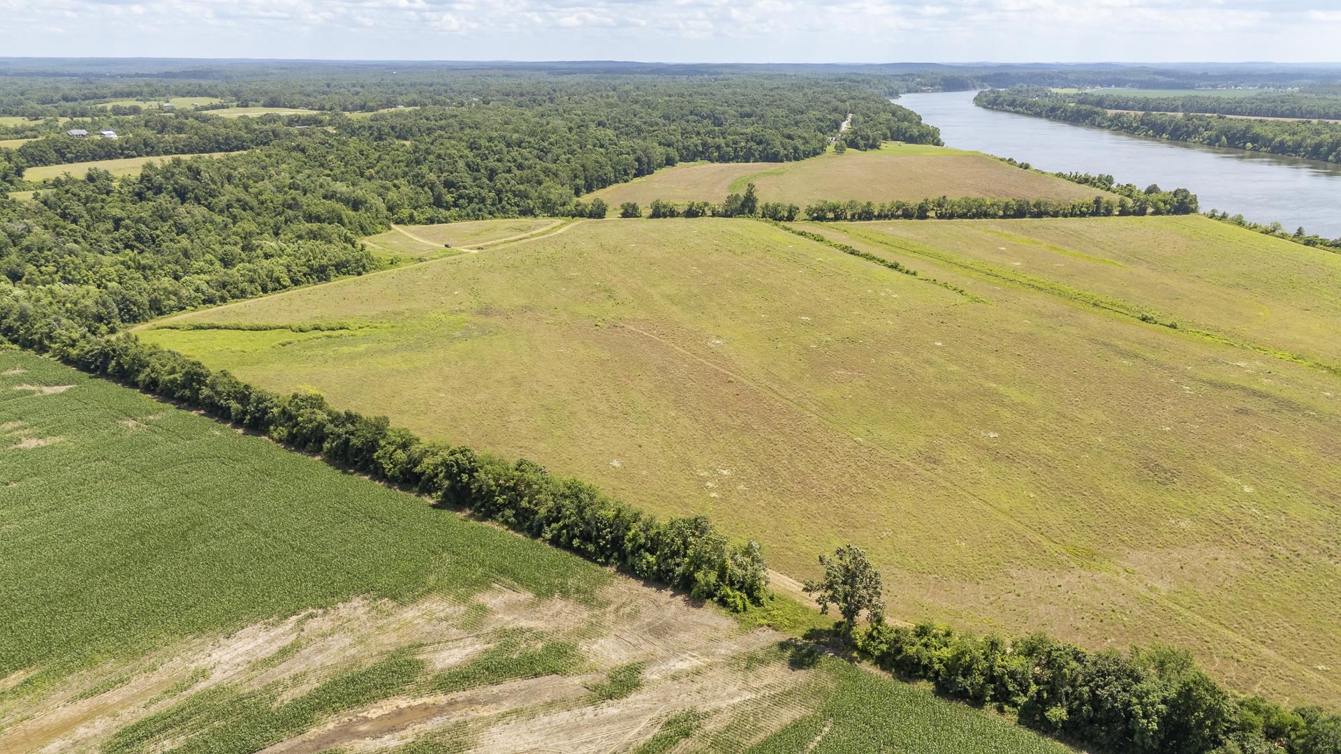 10157 Clifton Road Savannah, TN 38372 - Photo 4 of 40