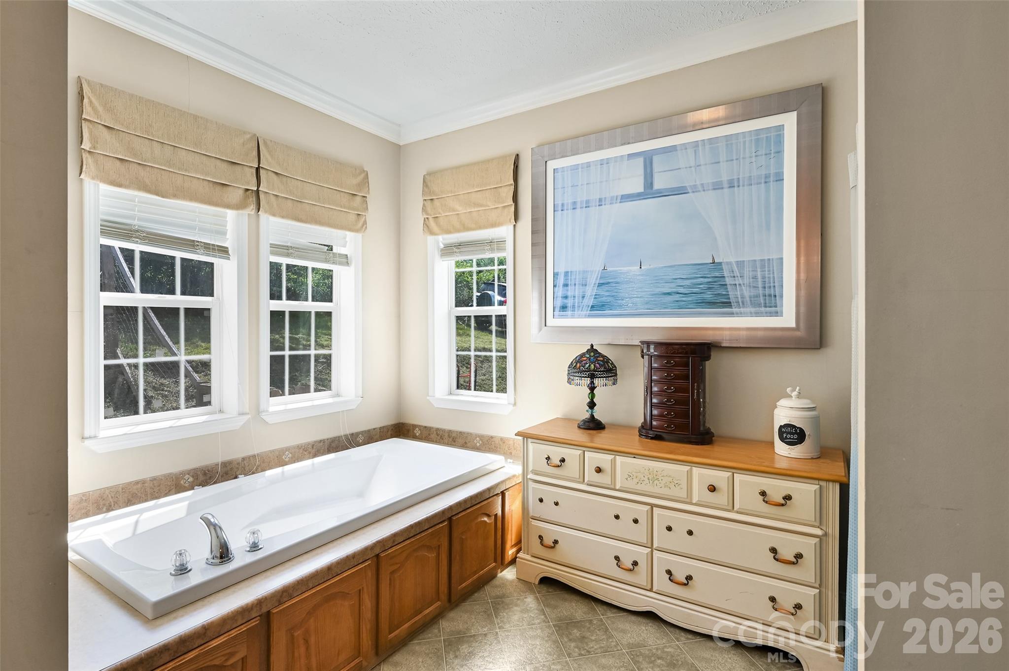 371 Starnes Cove Road Candler, NC 28715 - Photo 12 of 21 a view of room with a window and dresser