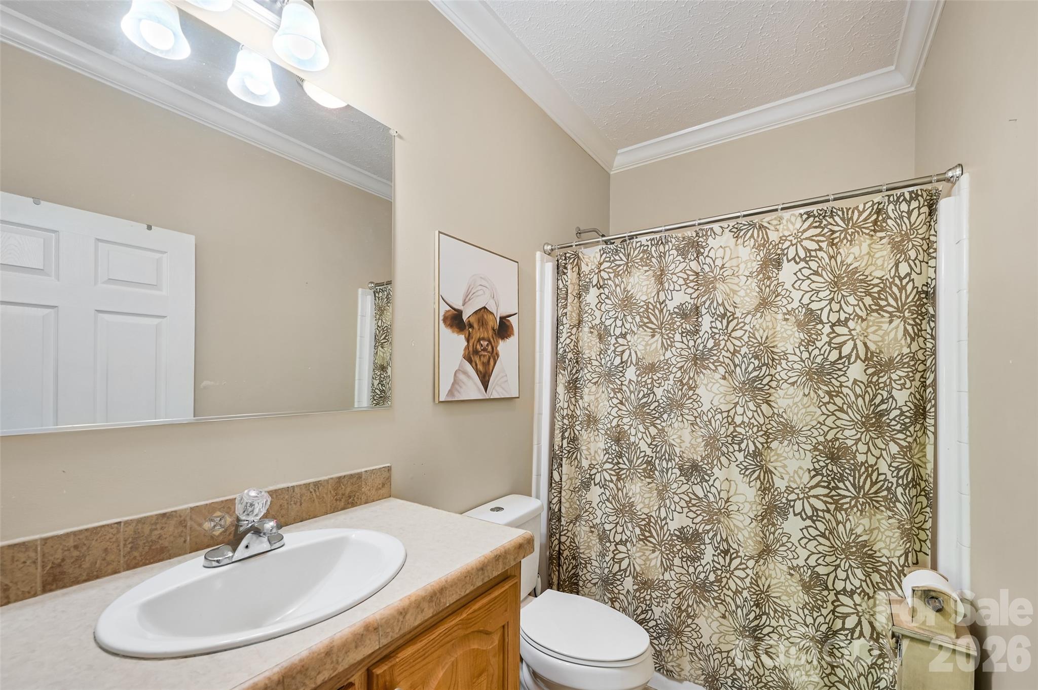 371 Starnes Cove Road Candler, NC 28715 - Photo 15 of 21 a bathroom with a sink a toilet and a mirror