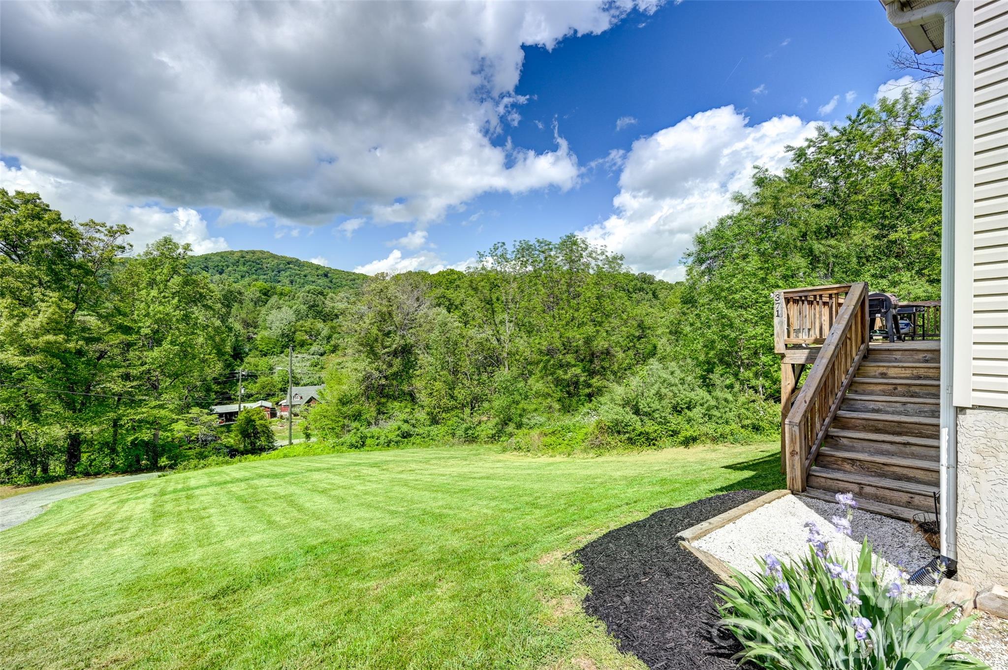 371 Starnes Cove Road Candler, NC 28715 - Photo 2 of 21 a view of yard with green space