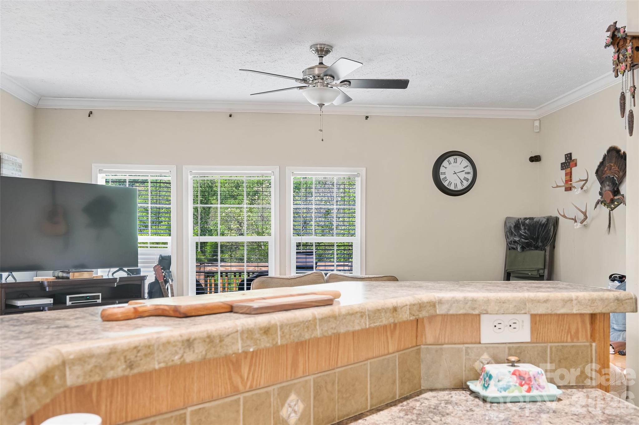 371 Starnes Cove Road Candler, NC 28715 - Photo 9 of 21 a living room with hard wood floor and a large window
