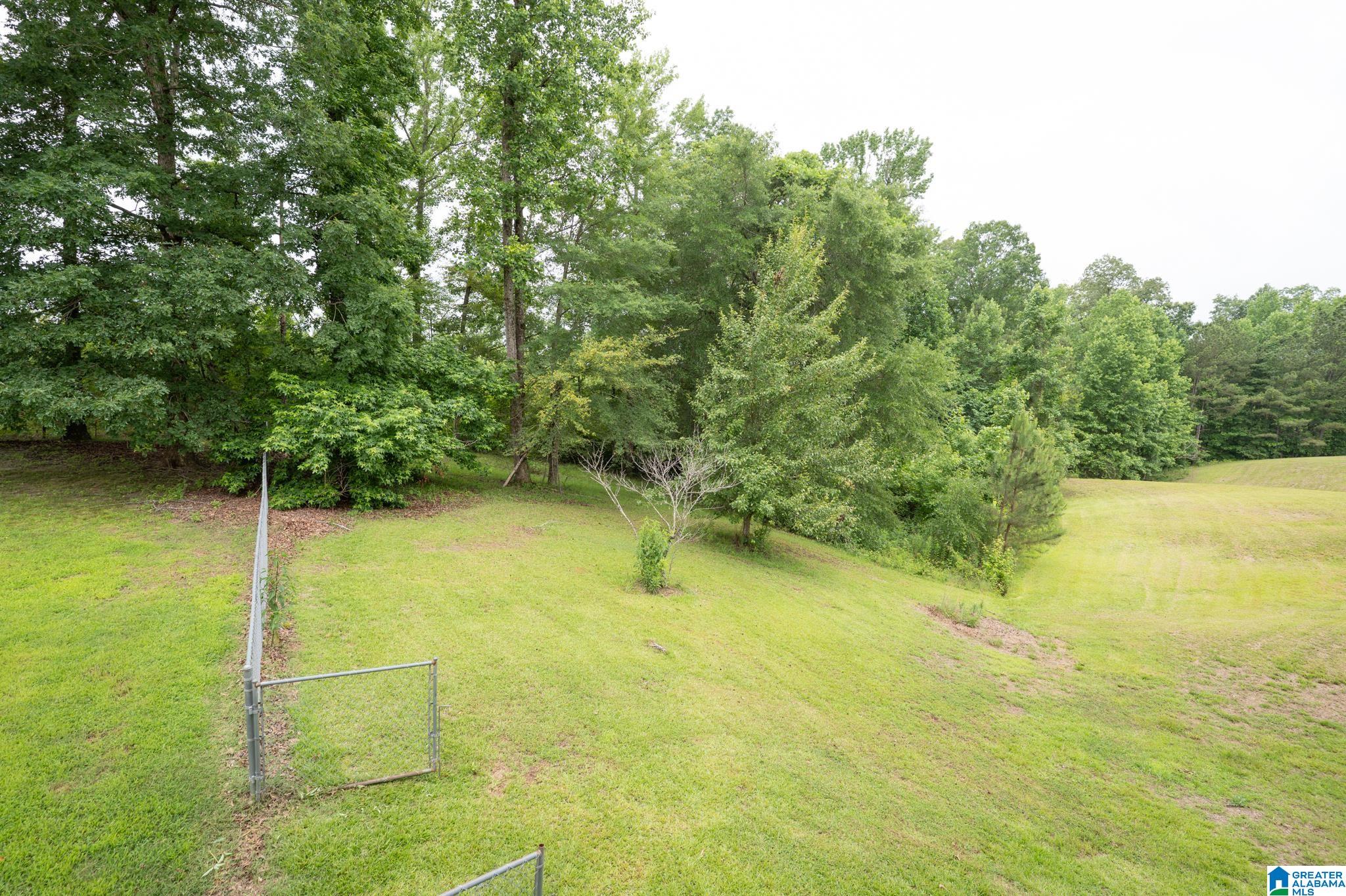 9677 Golden Lane Bessemer, AL 35023 - Photo 71 of 76