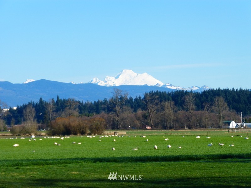 17422 Britt Road Mount Vernon, WA 98273 - Photo 23 of 25 Gallery Image 23