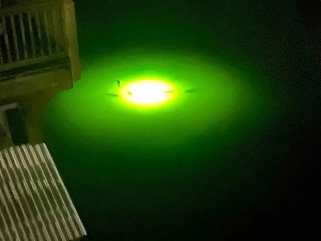 $2,500 | 126 Driftwood Road, Freeport, TX 77541