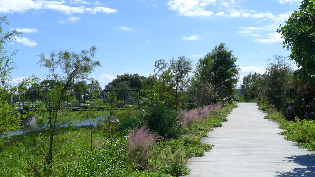 4869 Northwest 16th Terrace Boca Raton, FL 33431 - Photo 45 of 46 Pondhawk Walking Path