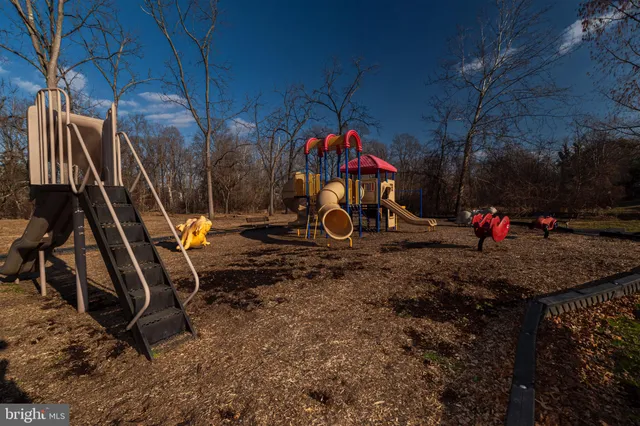 a view of a yard with trees