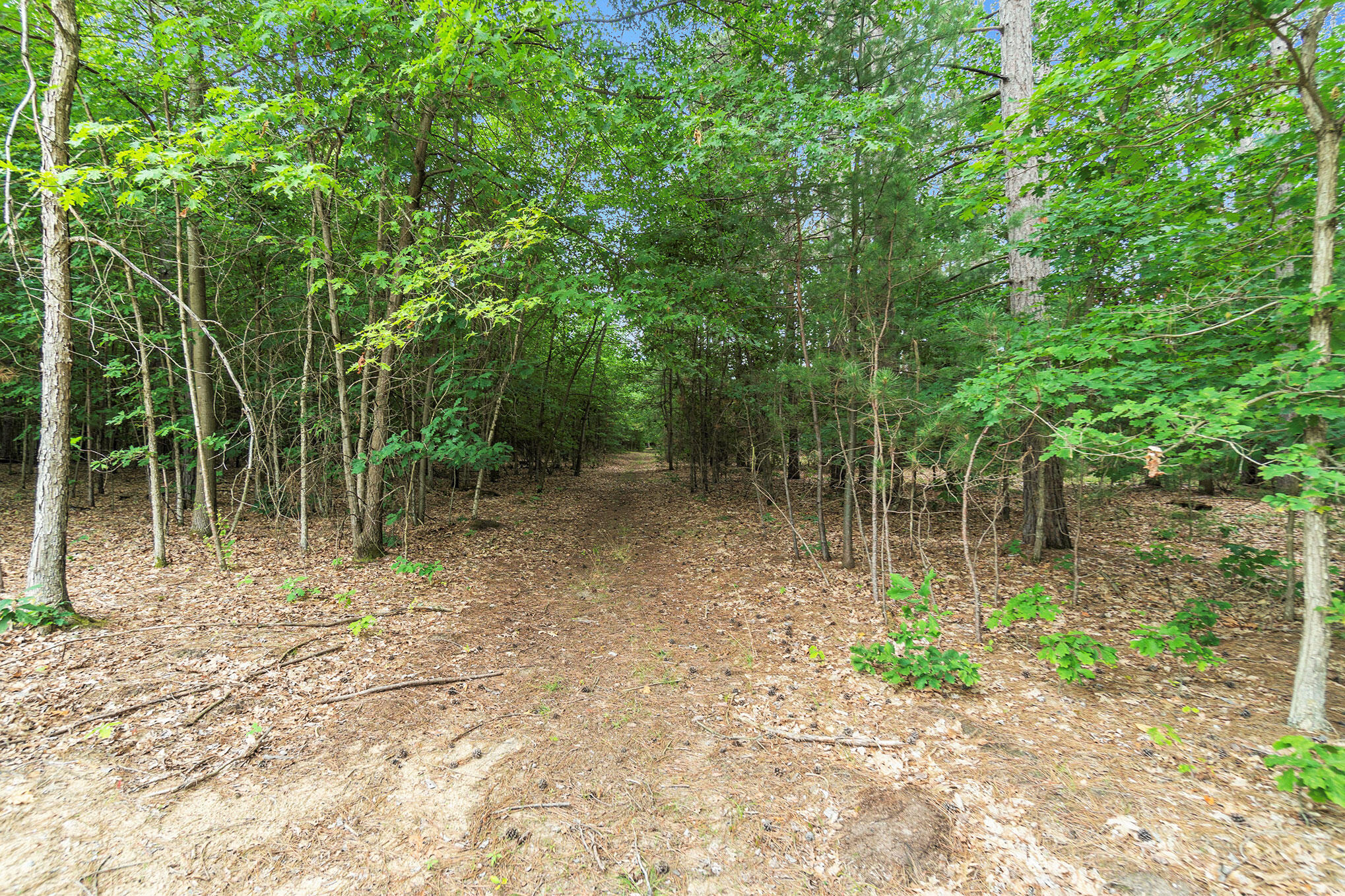 5847 West Miller Road Shepherd, MI 48883 - Photo 24 of 31 Nice Trails Throughout Property
