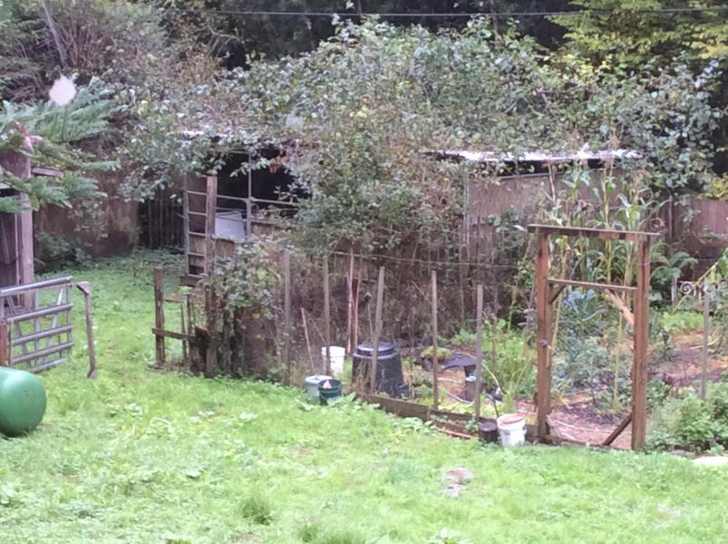 11568 West End Road Arcata, CA 95521 - Photo 12 of 28 Gallery Image 12
