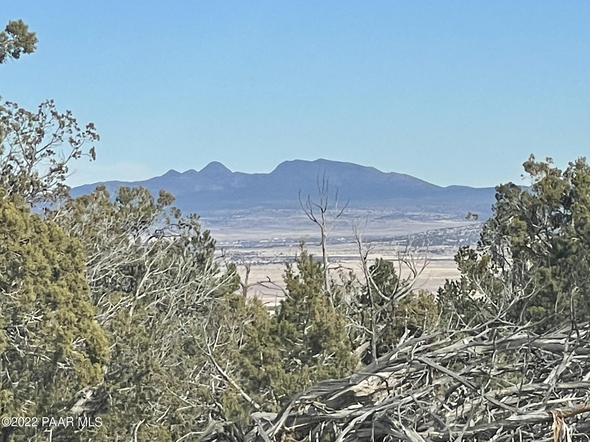 Lot 1409 Bad Dog Road Seligman, AZ 86337 - Photo 2 of 14 301-19-611 Mike Lane (3)