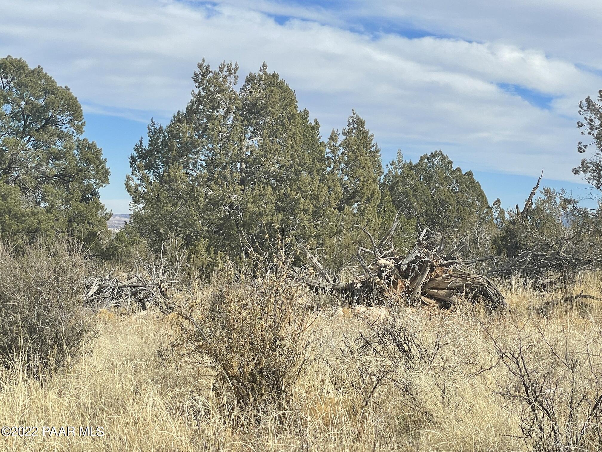 Lot 1409 Bad Dog Road Seligman, AZ 86337 - Photo 8 of 14 301-19-611 Mike Lane (9)