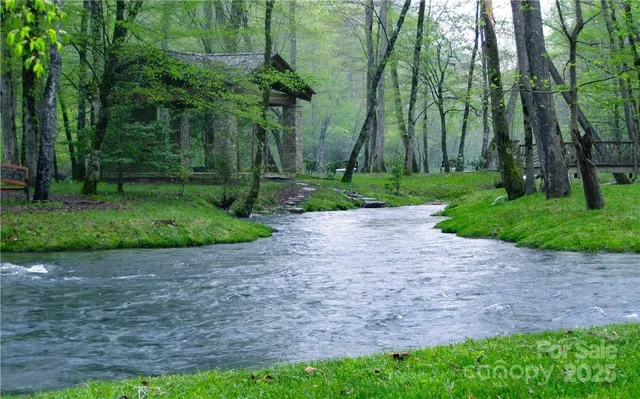 a view of a park with a trees