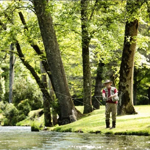 a view of a water fountain in front of a house