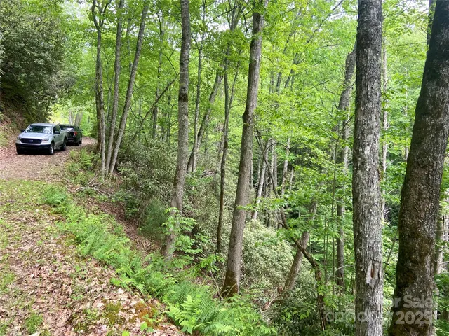 a view of car parked in middle of forest