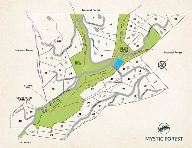 a view of a lush green forest with lots of tall trees