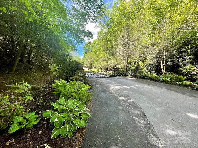 a view of a road with plants and trees