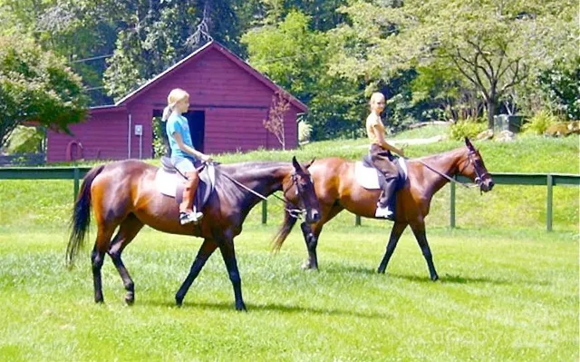 a view of yard with green space and deck