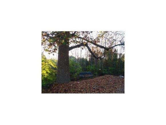 1256 North Jim Minor Road Graham, NC 27253 - Photo 22 of 24 Gallery Image 22