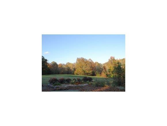 1256 North Jim Minor Road Graham, NC 27253 - Photo 4 of 24 Gallery Image 4
