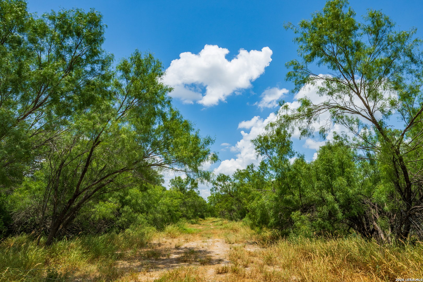 994 Marburger Road Crystal City, TX 78839 - Photo 12 of 52 Gallery Image 12