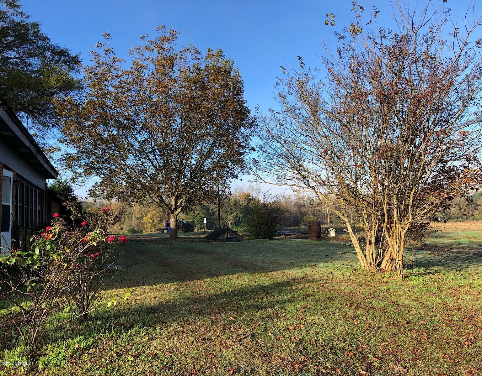 8042 Old Smithfield Road Bailey, NC 27807 - Photo 10 of 24 back yard