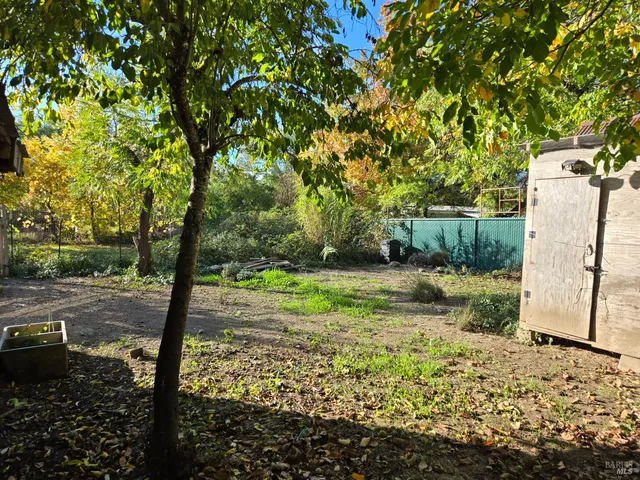 a view of a yard with plants and trees