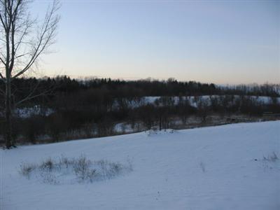 8512 West 4 Mile Road Hesperia, MI 49421 - Photo 7 of 8 Additional Photo