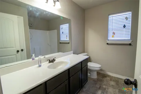 a bathroom with a sink toilet and mirror