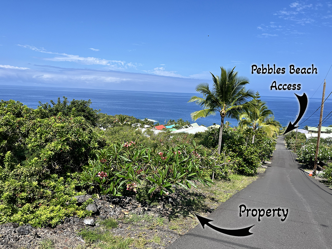 87-291 Kaohe Road Captain Cook, HI 96704 - Photo 2 of 13